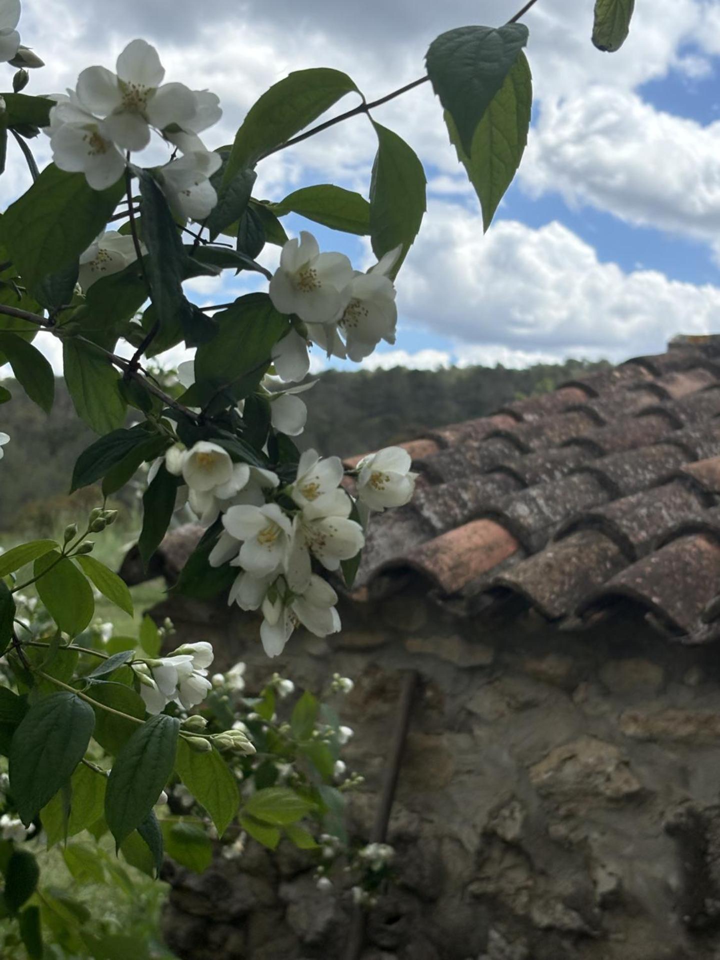 Casa Rural En Un Paraje Natural Enguera Экстерьер фото